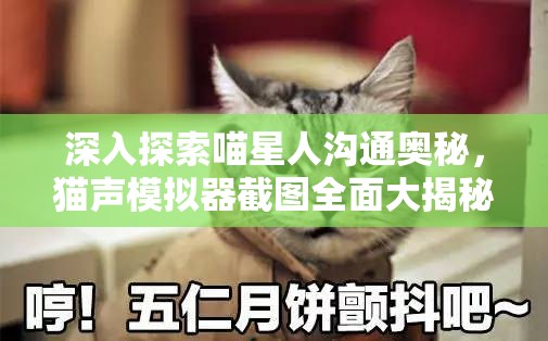 深入探索喵星人沟通奥秘，猫声模拟器截图全面大揭秘