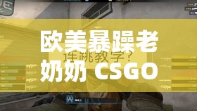 欧美暴躁老奶奶 CSGO 比赛：枪林弹雨中的怒吼与反击