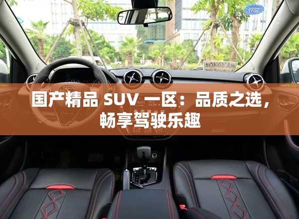 国产精品 SUV 一区：品质之选，畅享驾驶乐趣