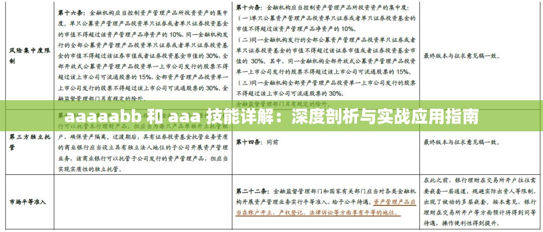 aaaaabb 和 aaa 技能详解：深度剖析与实战应用指南