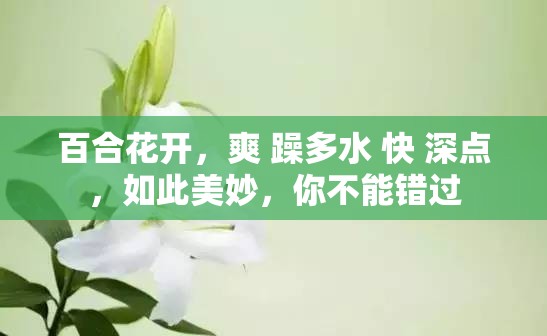 百合花开，爽 躁多水 快 深点，如此美妙，你不能错过