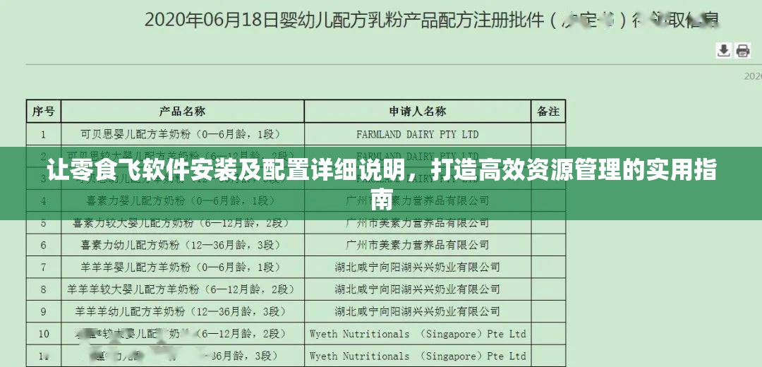 让零食飞软件安装及配置详细说明，打造高效资源管理的实用指南