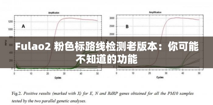 Fulao2 粉色标路线检测老版本：你可能不知道的功能