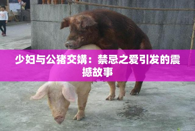 少妇与公猪交媾：禁忌之爱引发的震撼故事