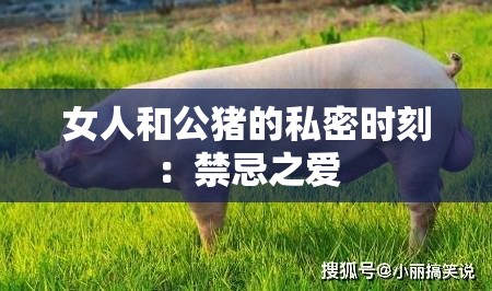 女人和公猪的私密时刻：禁忌之爱