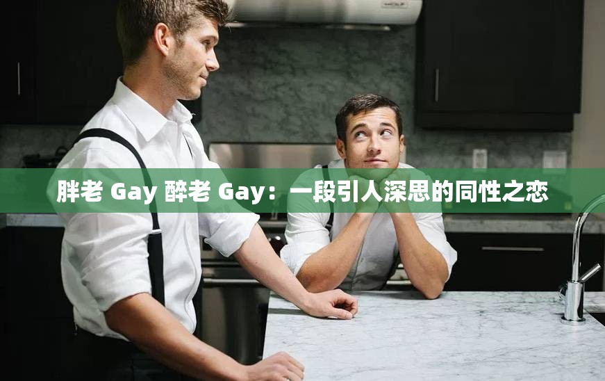 胖老 Gay 醉老 Gay：一段引人深思的同性之恋