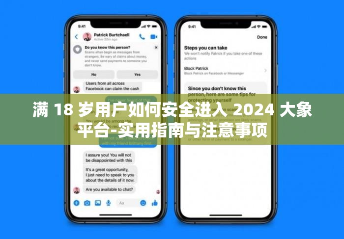 满 18 岁用户如何安全进入 2024 大象平台-实用指南与注意事项