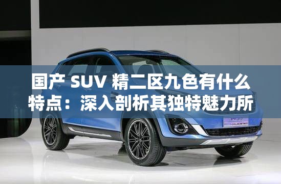 国产 SUV 精二区九色有什么特点：深入剖析其独特魅力所在