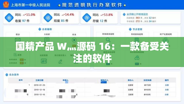 国精产品 W灬源码 16：一款备受关注的软件