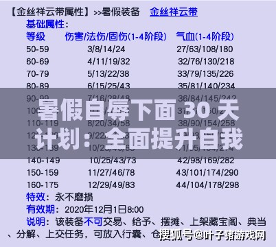 暑假自辱下面 30 天计划：全面提升自我的详细行动方案