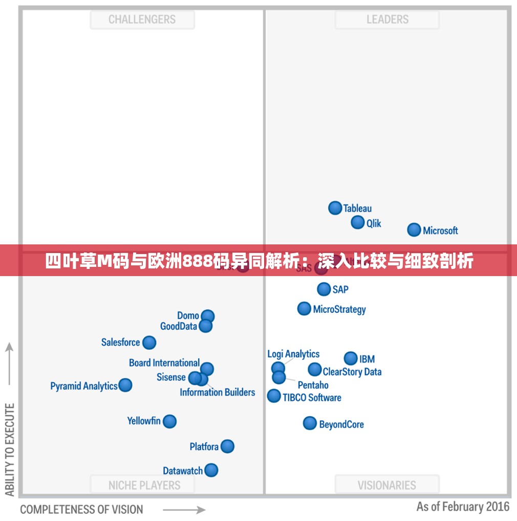 四叶草M码与欧洲888码异同解析：深入比较与细致剖析