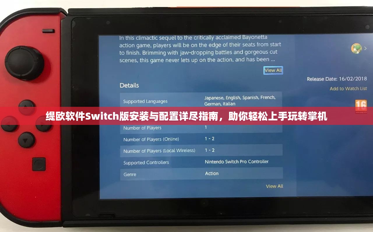 缇欧软件Switch版安装与配置详尽指南，助你轻松上手玩转掌机