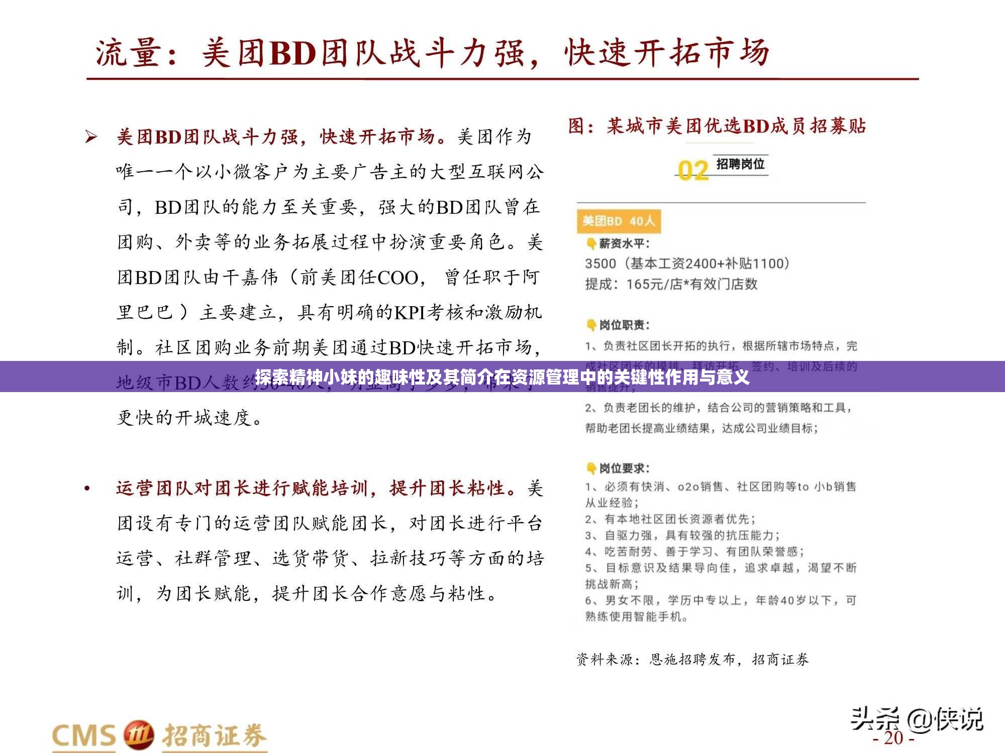 探索精神小妹的趣味性及其简介在资源管理中的关键性作用与意义