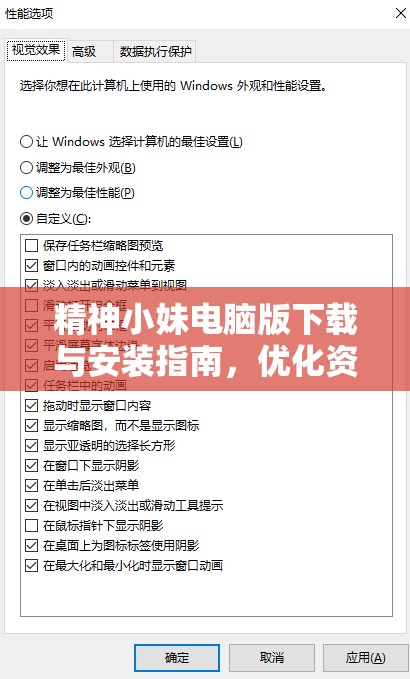 精神小妹电脑版下载与安装指南，优化资源管理，实现高效利用策略解析