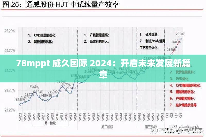 78mppt 威久国际 2024：开启未来发展新篇章