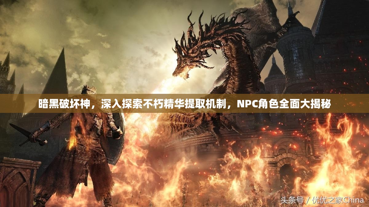 暗黑破坏神，深入探索不朽精华提取机制，NPC角色全面大揭秘