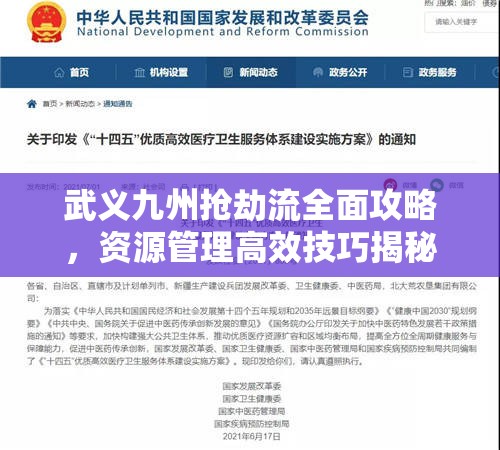 武义九州抢劫流全面攻略，资源管理高效技巧揭秘及避免资源浪费策略