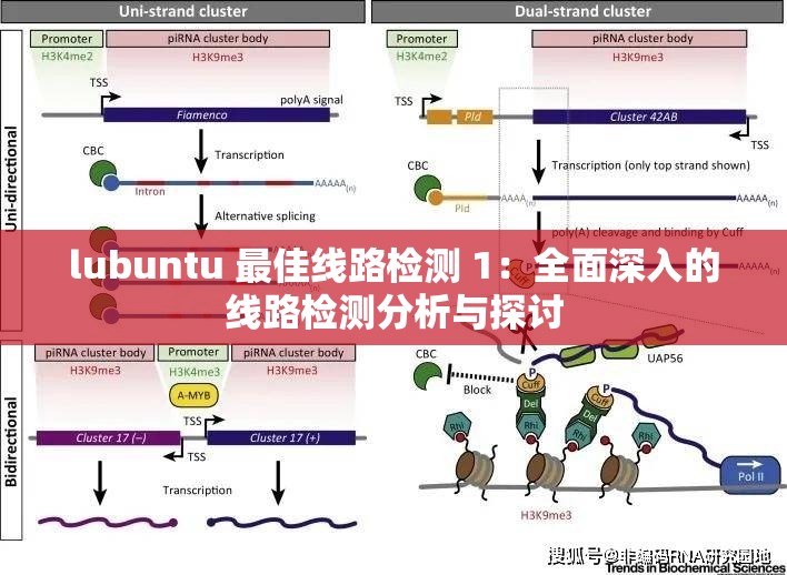 lubuntu 最佳线路检测 1：全面深入的线路检测分析与探讨