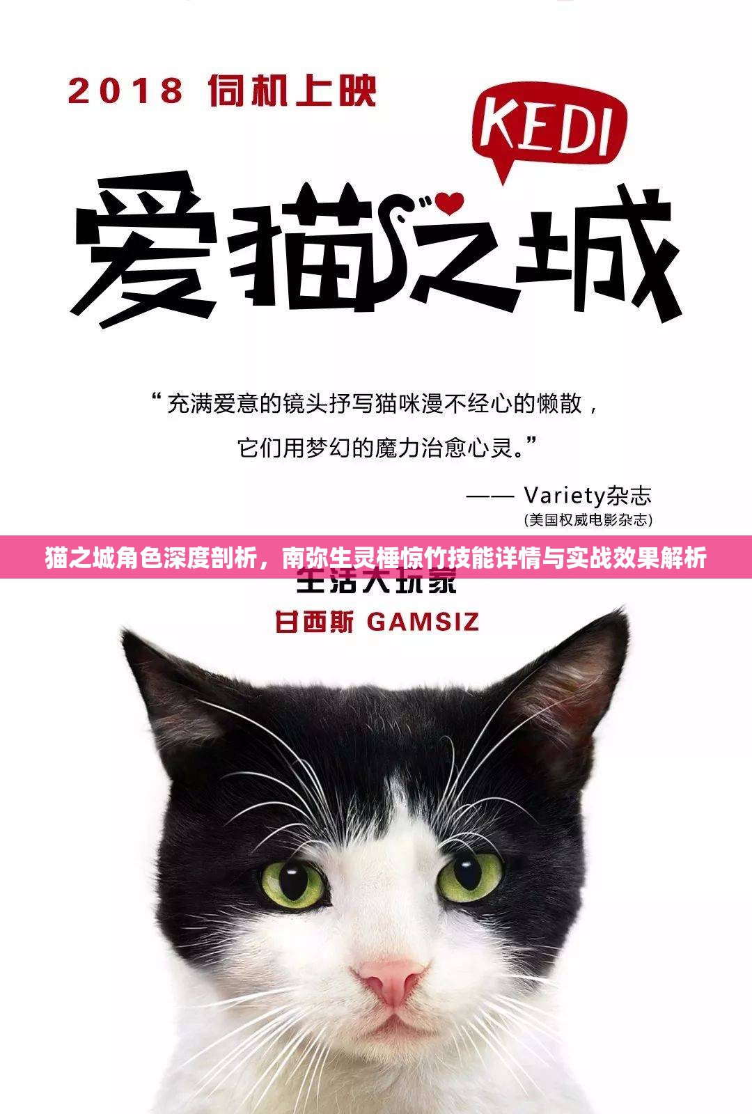 猫之城角色深度剖析，南弥生灵棰惊竹技能详情与实战效果解析