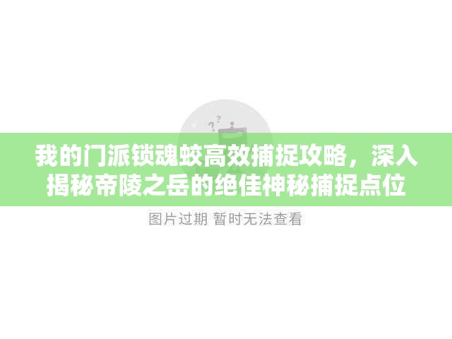 我的门派锁魂蛟高效捕捉攻略，深入揭秘帝陵之岳的绝佳神秘捕捉点位