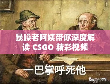 暴躁老阿姨带你深度解读 CSGO 精彩视频