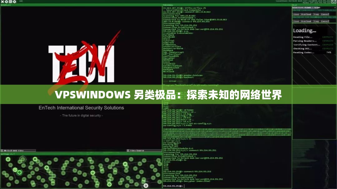 VPSWINDOWS 另类极品：探索未知的网络世界