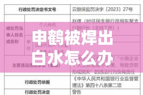 申鹤被焊出白水怎么办：探究背后原因及解决之策