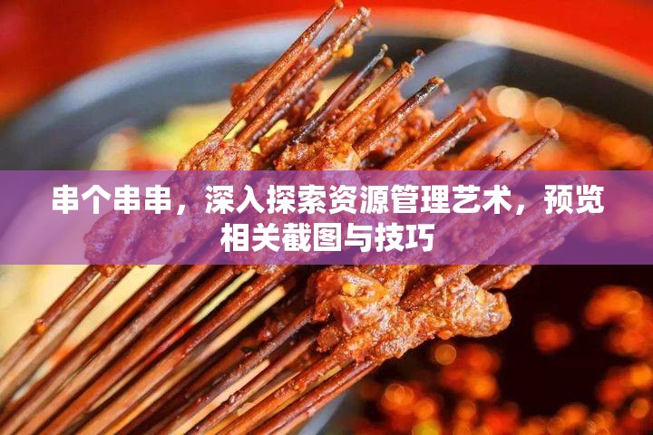 串个串串，深入探索资源管理艺术，预览相关截图与技巧