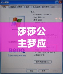 莎莎公主梦应用，深入解析安装配置说明对实现高效管理的重要性