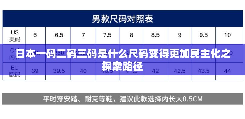 日本一码二码三码是什么尺码变得更加民主化之探索路径