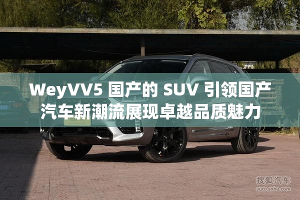 WeyVV5 国产的 SUV 引领国产汽车新潮流展现卓越品质魅力