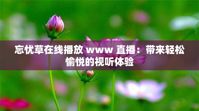 忘忧草在线播放 www 直播：带来轻松愉悦的视听体验