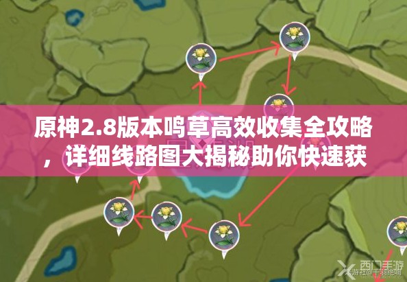 原神2.8版本鸣草高效收集全攻略，详细线路图大揭秘助你快速获取