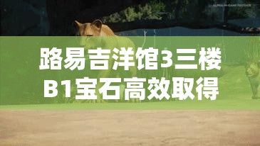 路易吉洋馆3三楼B1宝石高效取得方法与全面资源管理策略解析