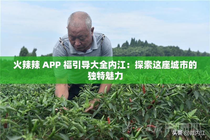 火辣辣 APP 福引导大全内江：探索这座城市的独特魅力