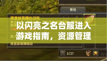 以闪亮之名台服进入游戏指南，资源管理高效方法与实现游戏价值最大化的策略