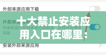 十大禁止安装应用入口在哪里：详细解读与指引