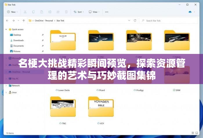 名梗大挑战精彩瞬间预览，探索资源管理的艺术与巧妙截图集锦