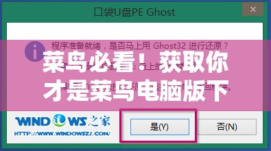 菜鸟必看！获取你才是菜鸟电脑版下载地址及详细安装步骤全攻略