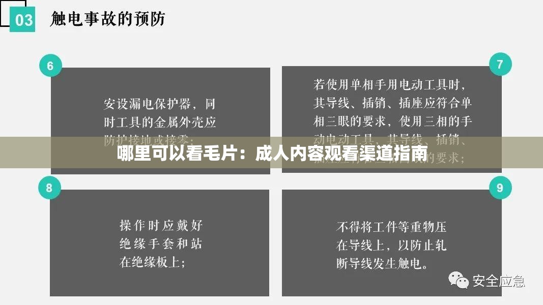 哪里可以看毛片：成人内容观看渠道指南