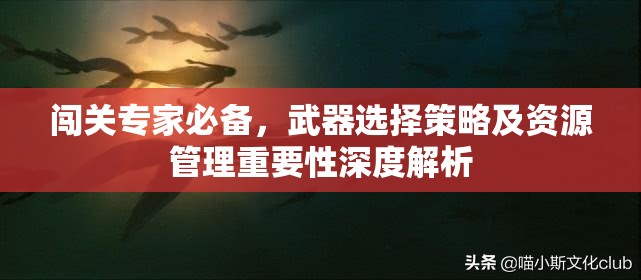 闯关专家必备，武器选择策略及资源管理重要性深度解析