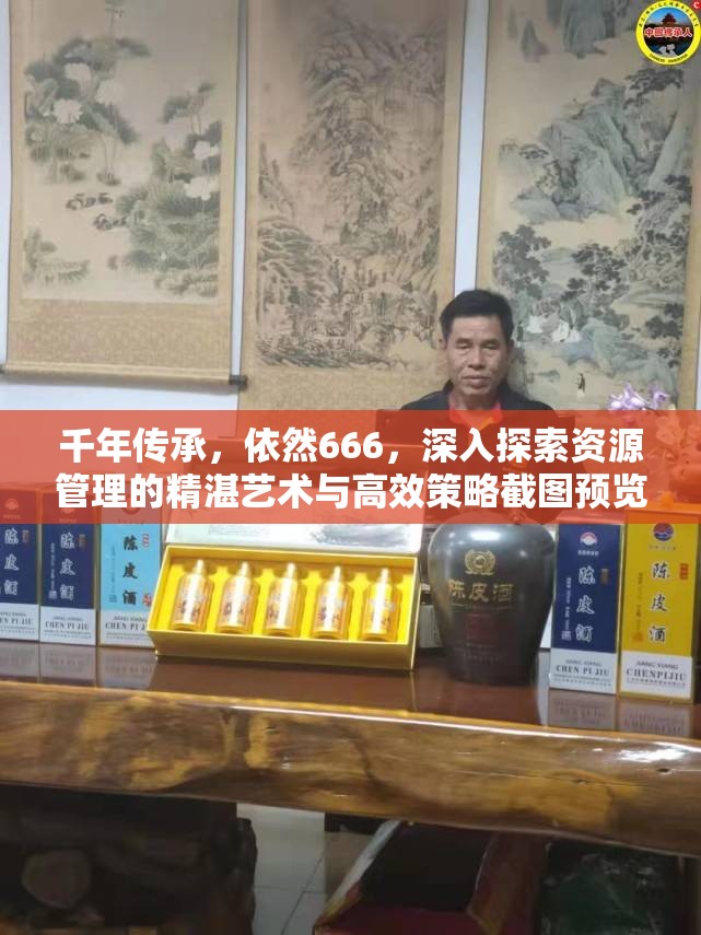 千年传承，依然666，深入探索资源管理的精湛艺术与高效策略截图预览