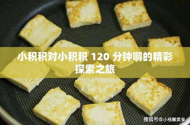 小积积对小积积 120 分钟啊的精彩探索之旅