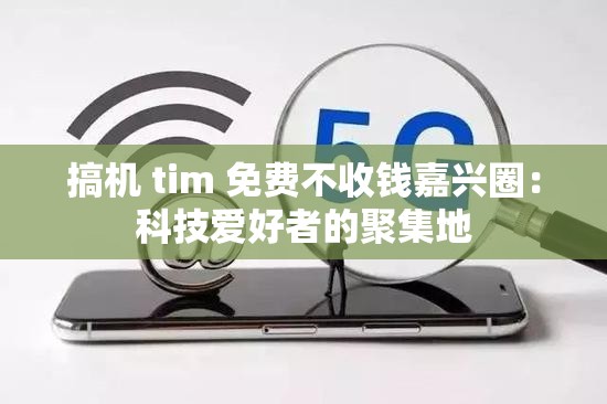 搞机 tim 免费不收钱嘉兴圈：科技爱好者的聚集地