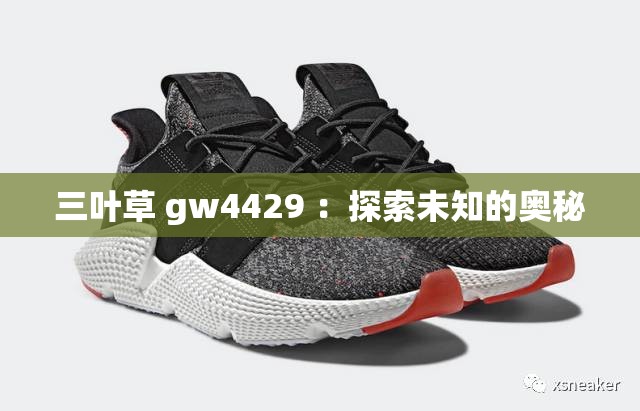 三叶草 gw4429 ：探索未知的奥秘