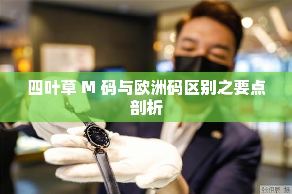 四叶草 M 码与欧洲码区别之要点剖析