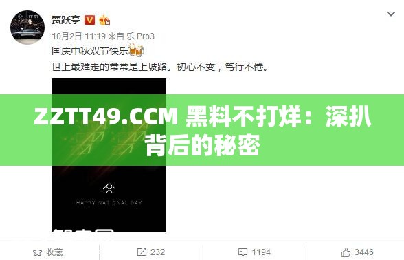 ZZTT49.CCM 黑料不打烊：深扒背后的秘密