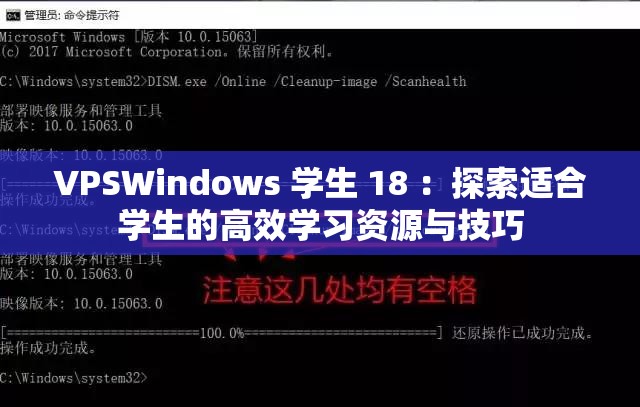 VPSWindows 学生 18 ：探索适合学生的高效学习资源与技巧