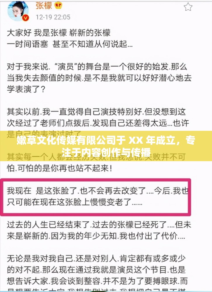 嫩草文化传媒有限公司于 XX 年成立，专注于内容创作与传播