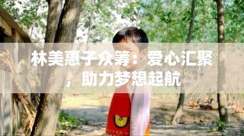 林美惠子众筹：爱心汇聚，助力梦想起航